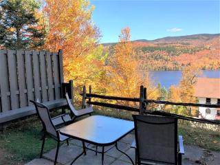 Beautiful suite with superb mountain view. - Mont-Tremblant - 9