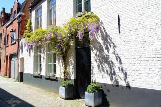Hoorn 17 - Guest Suite 2 - Bruges - 2