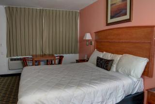 The Palms Motel - 7
