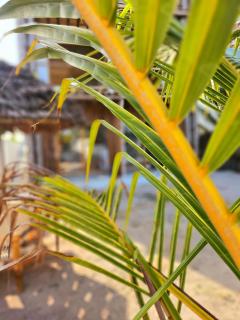 Mfumbwi Twins Apartments - Mfumbwi - 9
