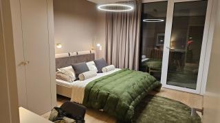 Castle-side Luxury Residence on Danube River bank,Free Parking - 9