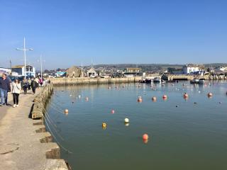 The Billy Shed - Bridport - 9