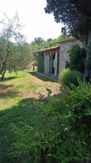 Celle di lecchi Porcilaia - San Sano - 0