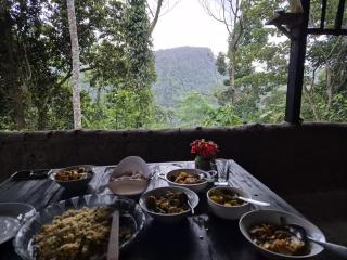Woodland Hideaway in Sinharaja - Deniyaya - 5