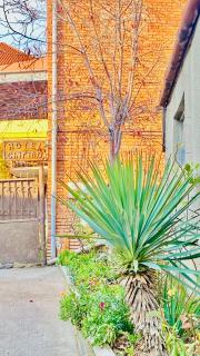 Guest House Chirina - 7