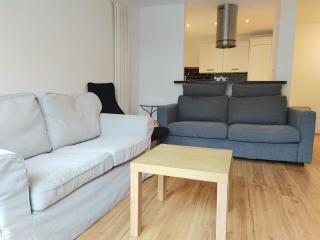 Edinburgh Summer Full Apartment - Edimburgo - 7