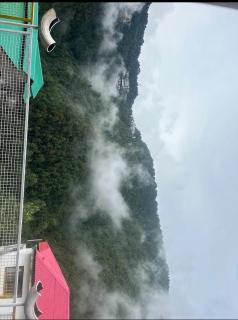 Himalayan Wooden Cottage & Cafe Dalhousie - Dalhousie - 3