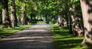 Pałac Ciekocinko Hotel Resort & Wellness - Ciekocinko - 1