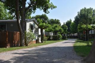 CAMPING SAINT GABRIEL *** - Tarascon - 3