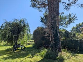 villa relax - 2