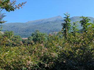 villa relax - Ascain - 9