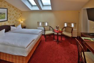 Hotel Elefant - Schwerin - 7