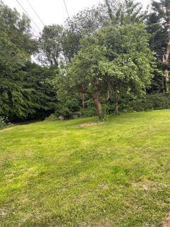 The Batch - Thorverton - 3