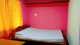 viDin estate stay - Jambur - 9
