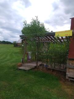 Altana letnia nr2 - Herbergerówka Agroturystyka na wsi - Stosrow - 9
