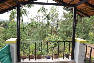 viDin estate stay - Jambur - 4