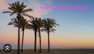 Apartamentos a 300 metros playa - Roquetas de Mar - 8