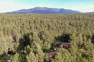 Pike National Forest Access: Secluded Divide Cabin - 7