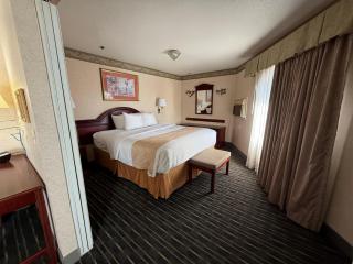 SureStay by Best Western Sunnyvale Silicon Valley - Sunnyvale - 5
