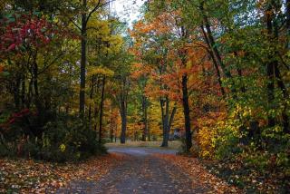 KOA Catskill Mountains #4 - Gilboa - 4