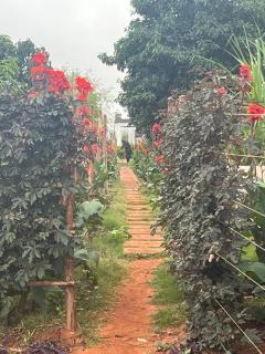 Elmadel Coffee Gardens 3Bed Rustic Wooden House - Machakos - 6
