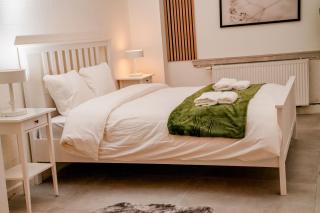 Spacious 6 Bedroom Apartment in the Heart of Ghent - 4