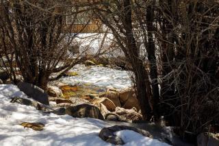 Mammoth Creek Luxury Retreat near Zion and Bryce C - 6