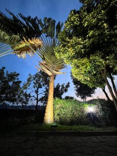 house with a garden - Kampala - 4