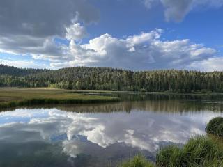 Meadow View Sanctuary - 5