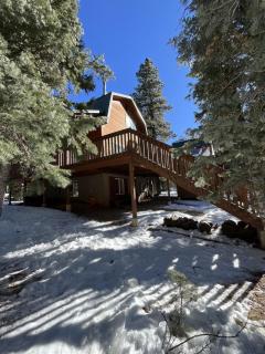 Bonanza Forest Retreat - Duck Creek Village - 9