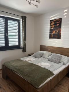 apartman Losonci - Nesvady - 1