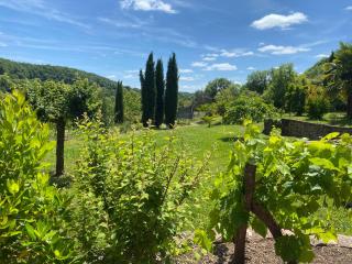 Le palmier d'Alice - 9