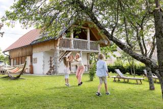 Holiday Home Virida, app Leopold III - Ivančna Gorica - 9
