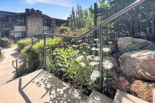 Shadowbrook 204 - Snowmass Village - 6