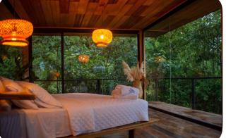 Suite Alpayaku, Suite Boutique Privada con Desayuno Incluido, Cedro Amazon Lodge - Mera - 5