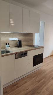 Apartmán Palackého sady - pohoda v srdci města - 6