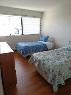 Nicolas Centro Osorno - 7