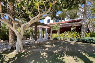 Hacienda Tropical - Oasis of History and Nature - San José del Cabo - 1