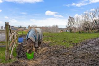 Countryside Retreat with On-site Horse Experiences - 4