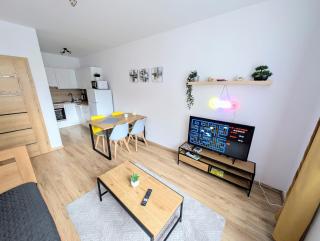 Apartmán 4 - u PAC-MANa - Rezidence K Lanovce - Jáchymov - 6