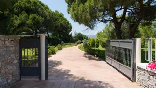 Schinias Paradise - 7