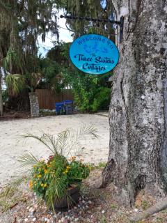 The Three Sisters - Pelican Crystal River FL - 1