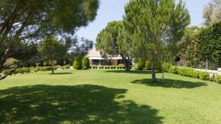 Schinias Paradise - 2