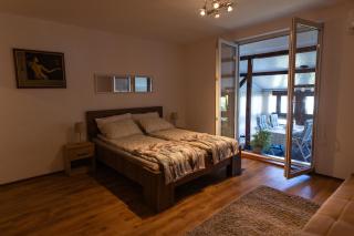 MaxLux Apartment - Niš - 0