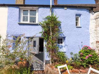 Carpenter's Cottage - Okehampton - 8