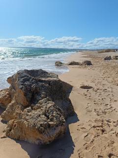 Mexico one bedroom apartment - Albufeira - 1