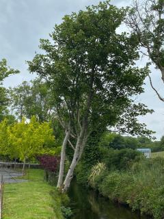 Riverside Cottage - Square - 4