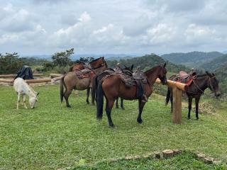 Jaguar Falls Ranch Resort & Spa - 1