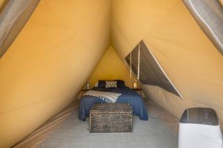 Cozy Lakeside Glamping Escape by Lake Livingston - 9