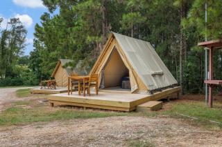 Cozy Lakeside Glamping Escape by Lake Livingston - 6